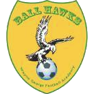 logo of Wayne George Football Academy