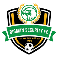 logo of Bigman FC