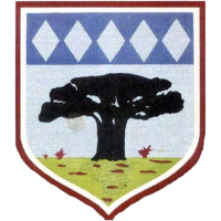 old logo of Bigman FC