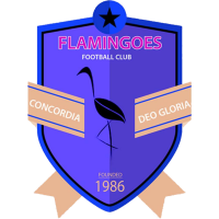 logo of Flamingoes FC