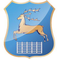 logo of FSK Hrodzenski