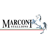 logo of Marconi Stallions FC