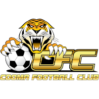 old logo of Tigers FC