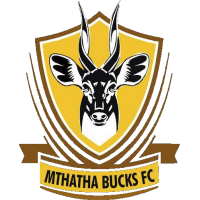logo of Mthatha Bucks FC