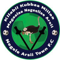 logo of Negele Arsi FC