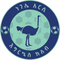 old logo of Negele Arsi FC