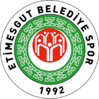 old logo of Etimesgutspor