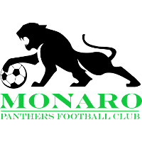 old logo of Monaro Panthers FC