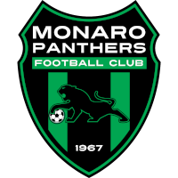 old logo of Monaro Panthers FC