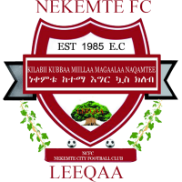 logo of Nekemt Ketema FC