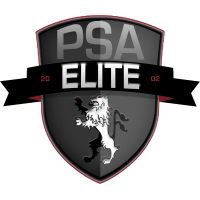 logo of PSA Elite SC