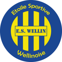 logo of Wellin
