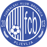logo of ŽFK Breznica