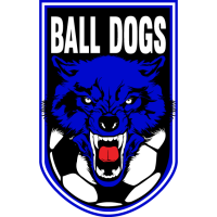 logo of Ball Dogs FC
