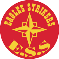 old logo of Eagles Super Strikers FC