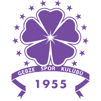 logo of Gebzespor