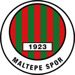 old logo of Maltepespor K