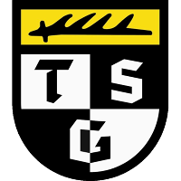 logo of Balingen