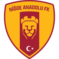 logo of Niğde Anadolu FK