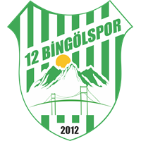 logo of 12 Bingölspor