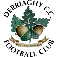 logo of Derriaghy CC