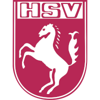 logo of Hammer SpVg