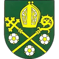 logo of TJ Družstevník Bešeňov