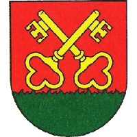 logo of TJ Družstevník Petrovce nad Laborcom