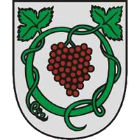 logo of TJ Slavoj Kráľovský Chlmec