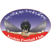 logo of Yeedzin FC