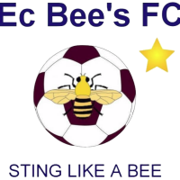 logo of Eastern Cape Bees FC