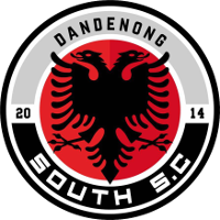 logo of Dandenong South SC