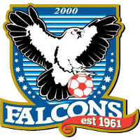 logo of Falcons 2000 SC