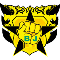 old logo of Shanghai Jiading Huilong FC