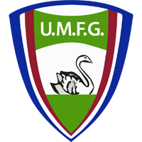 logo of UMF Geisli