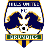 old logo of Hills United FC