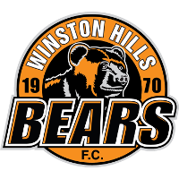 logo of Winston Hills FC