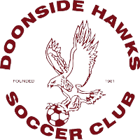 logo of Doonside Hawks SC