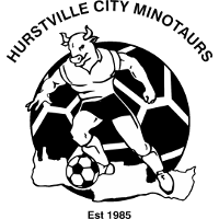 logo of Hurstville City Minotaurs