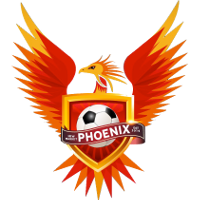 logo of Newmarket Phoenix FC