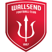 logo of Wallsend FC