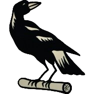 logo of Nerimbera FC