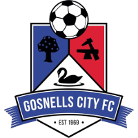 logo of Gosnells City FC
