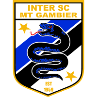 logo of International SC