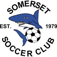 logo of Somerset SC