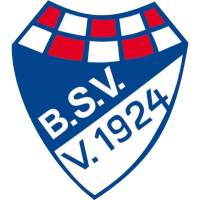 logo of Brinkumer SV