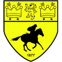 logo of Newmarket Town FC
