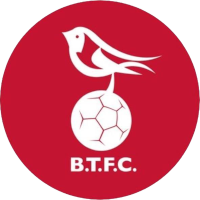 old logo of Bracknell Town FC