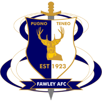 logo of Fawley AFC