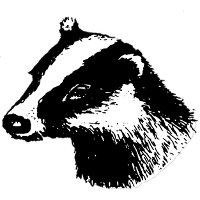 old logo of Brockenhurst FC